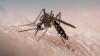 Maryland’s first confirmed West Nile virus case of 2026 reported in Washington area