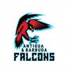 New Owners Take Control of Antigua and Barbuda Falcons Ahead of CPL Season