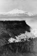 YESTERYEAR: Mt. Jefferson sheds large peak section in 1951