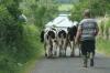 New study reveals hidden mental health toll on farm families