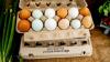 UK study finds organic, free-range egg model has troubling impact compared to caged systems