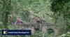 Germany storm leaves 1 dead, 3 seriously injured