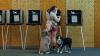 You Love To See It: Voting Unleashed