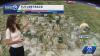 Heat advisory and flood watch in effect, slightly cooling temperatures.