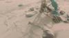 Fourteen Afghan migrants found dead in desert