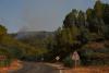 Europe’s wildfire crisis shifts as nearly 200,000 return home in France while new blazes force thousands to flee