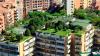 Not Just Decoration — How Do Green Roofs and Green Walls Help Urban Climate Adaptation?