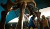 The skeleton of a giant mammoth was found in the shallow Danube River in Bulgaria