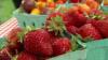Interview: New Hampshire doctor on making kids' school lunches nutritious