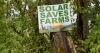 New York takes on the myth that solar is swallowing farmland