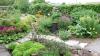Gardeners hit by heatwaves are embracing new 'lemonading' trend