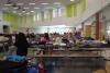 Camp Greentree offers Montgomery Co. students mental health support alongside summer fun