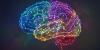 New study shed light on how estradiol influences memory networks in middle-aged women