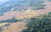 Hundreds of Geoglyphs Discovered in Amazon Rainforest