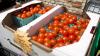 New WNADA farmers market brings fresh food, local vendors to West Baltimore