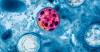 Cyclosporiasis cases exceed 4,000 in Ohio