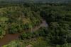 Colombia’s deforestation rises slightly as Amazon forest loss holds steady