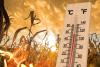 Why Climateflation Will Drive Food Prices More Than War