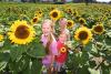 'It's a nice, cheap day out': Inside the Leeds farm with more than 20,000 pick-your-own sunflowers