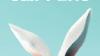 New books by Southern Arizona authors: Professional killers, corn dogs, a secret dowry ...