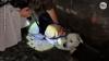 Dog rescued after spending 2 days in San Francisco rail…