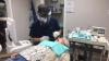 How to find a top-rated dentist to protect your oral health and lower disease risks