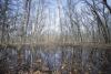 Activists worried about wetlands as DNR program is ruled out of compliance