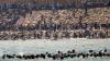 Why Ceuta is at the center of a migration surge