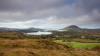 Just how valuable is commonage in Ireland?