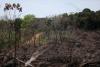 Colombia's 2025 forest loss hits two-decade low, government says