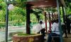 Gujarat: First tree-integrated green bus shelter opens in Ahmedabad