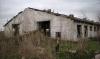 The number of bankruptcies in the agricultural sector has risen sharply in Romania
