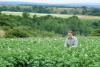 Breakthrough to help farmers cut fertiliser use