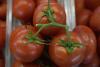 Year-round gardening: Kicking off the homestretch of Colorado’s gardening season