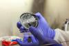 Legionnaires’ disease has made a home in New York City. Here’s how.