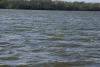 State senators request special session to act on ‘deeply alarming’ groundwater report