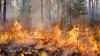 Governor Declares Statewide Wildfire Emergency, Burn Ban Takes Effect