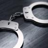 Two Jamaicans among several arrested by ICE over the weekend