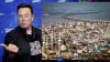 Elon Musk’s Nigeria Birth Claim Sparks Backlash, Maye Says “Have Children”