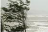 WEATHER: Strong winds and dangerous waves to affect parts of KZN