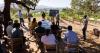 Organic growing conference caps month of Napa vineyard learning