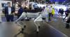 What The Tech? U.S. restricts foreign-made robot access over concerns of privacy