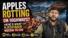 Video: Can Kashmir Save Its Apple Harvest from Highway Delays?