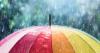Environment Canada issues rainfall warning: Here’s how much Simcoe County could get