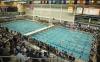 Kentucky Aquatics Women Shine On Day 3 Of Knoxville Futures