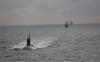 Royal Navy deployed twice a week to shadow Putin’s warships