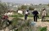 Israeli enemy forces, settlers continue attacks against Palestinians, property in WB
