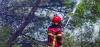 Qatar teams join Spain wildfire fight