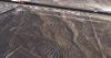 Tourist plane crashes in Peru, killing 13
