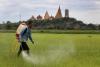 Court upholds Thailand’s ban on toxic farm chemicals